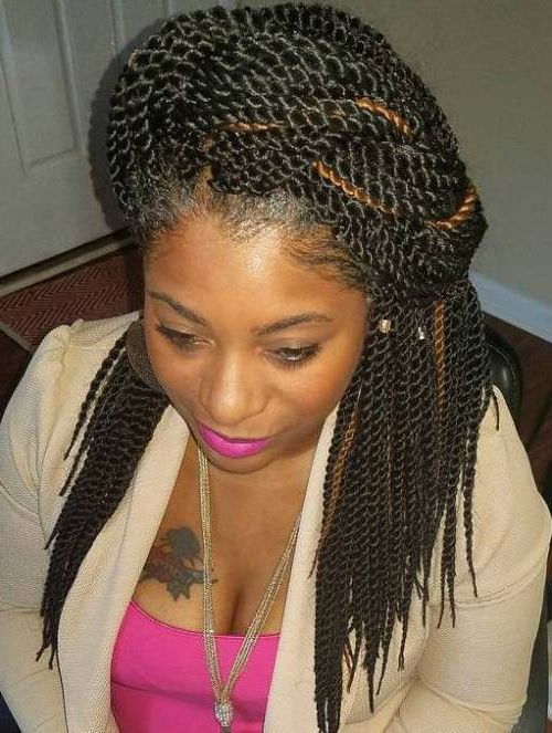 Pin On Natural Hair For Most Recently Long Twists Invisible Braids With Highlights (View 3 of 25)