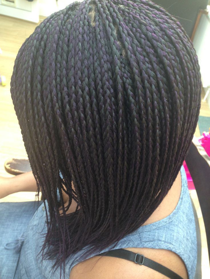 Pin On Things To Wear For Most Recent Zebra Twists Micro Braid Hairstyles (View 14 of 25)