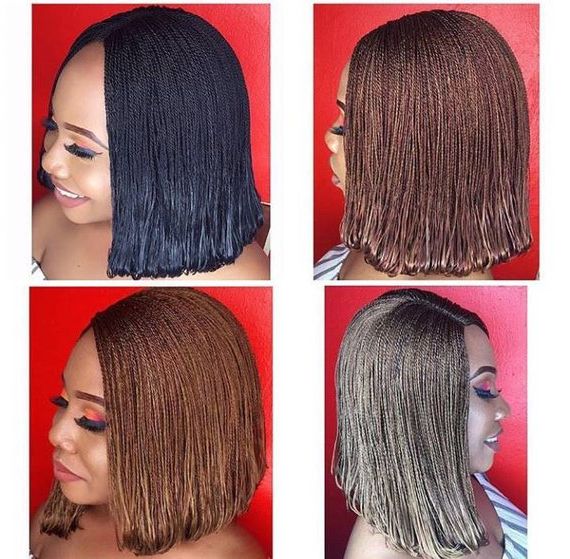 Pin On Wigs And Protective Styles Intended For Most Recently Zebra Twists Micro Braid Hairstyles (View 15 of 25)