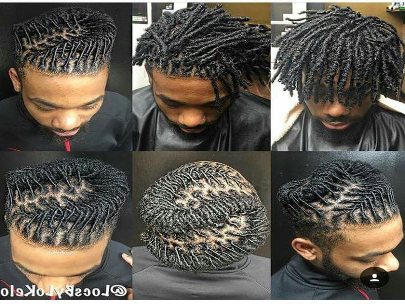 Pinhairstyles On Hairstyles For Men In 2019 | Hair In Current Tightly Coiled Gray Dreads Bun Hairstyles (View 3 of 25)