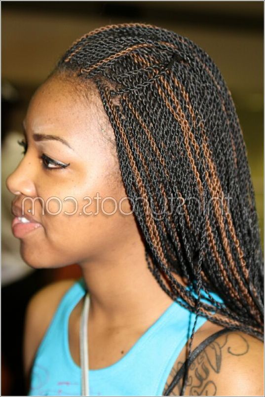 Senegalese Twist With Regard To Most Current Black And Brown Senegalese Twist Hairstyles (View 13 of 25)
