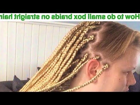 Small Box Braids On Caucasian/straight Hair With Most Up To Date Straight Mini Braids With Ombre (View 5 of 25)