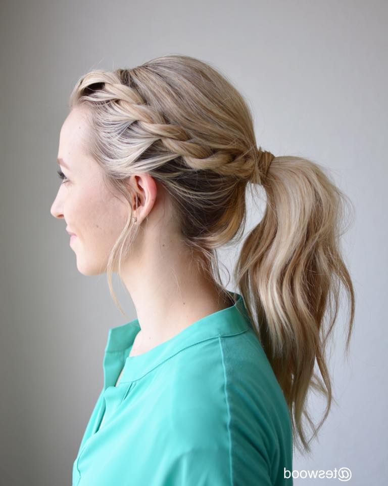 62 Super Easy Braided Hairstyles To Save Time While Getting For High Rope Braid Hairstyles (View 6 of 25)