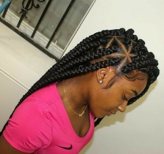 African Hair Braiding Is Very Versatile: Micro Braids For Most Recently Micro Braids In Side Fishtail Braid (View 1 of 25)