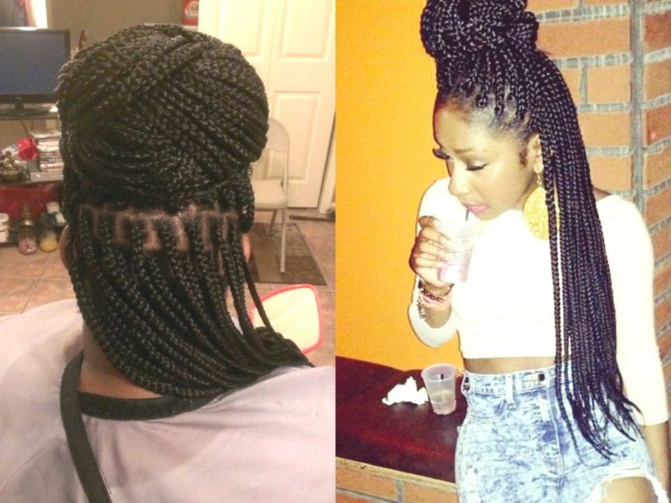 Hairstyles : Updo Hairstyles With Box Braids Exciting Regarding Latest Box Braids Bun Hairstyles (Photo 19 of 25)