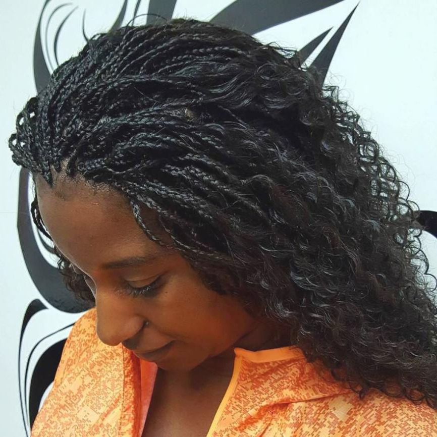 Luxury Micro Braid Hairstyles Wet And Wavy Collection Of For Most Current Micro Braided Hairstyles (View 8 of 25)