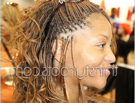 Micro Braids Hairstyles Intended For Latest Micro Braided Hairstyles (View 7 of 25)