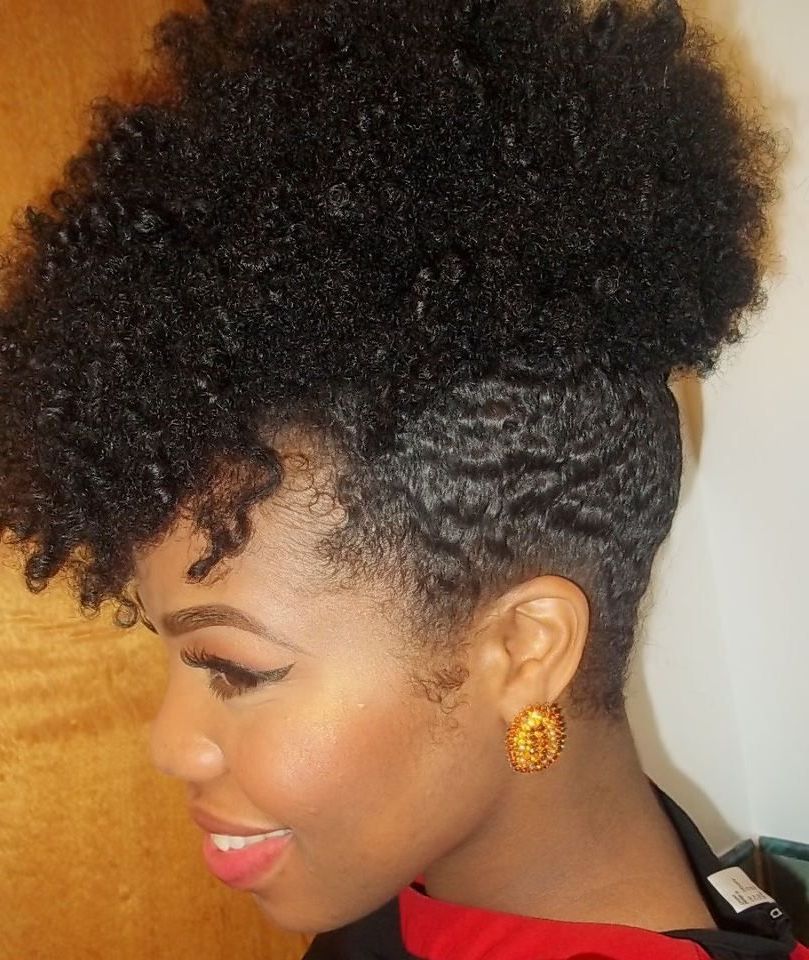 Natural Hair | Cute Hairstyles And Colors | Natural Hair In Naturally Textured Updo Hairstyles (View 2 of 25)