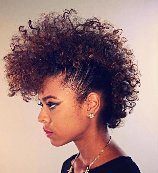 15 Gorgeous Mohawk Hairstyles For Women This Year For Faux Mohawk Hairstyles With Natural Tresses (Photo 6 of 25)