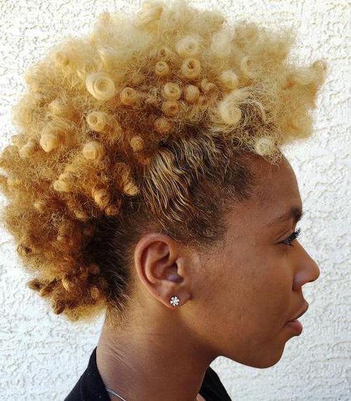20 Fancy Natural Hair Mohawk Hairstyles Within Curly Highlighted Mohawk Hairstyles (View 16 of 25)