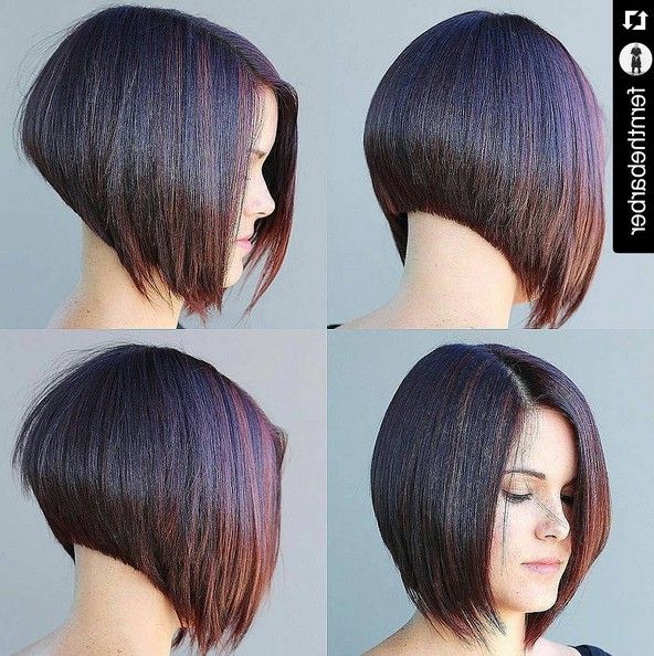 22 Cute & Classy Inverted Bob Hairstyles – Pretty Designs Regarding Classy Bob Haircuts With Bangs (View 20 of 25)