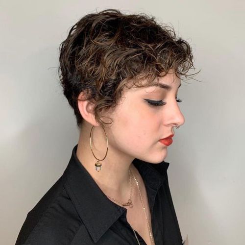 25 Cutest Hairstyles For Short Curly Hair In Curly Pixie Haircuts With Highlights (Photo 24 of 25)