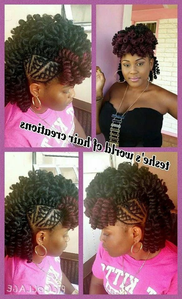 28+ Albums Of Faux Braided Mohawk On Natural Hair | Explore For Faux Mohawk Hairstyles With Natural Tresses (View 14 of 25)