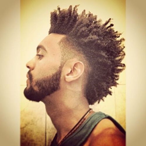 30 Great Curly Hairstyles For Men: Inspirations And Ideas Throughout Mohawk Haircuts On Curls With Parting (Photo 5 of 25)