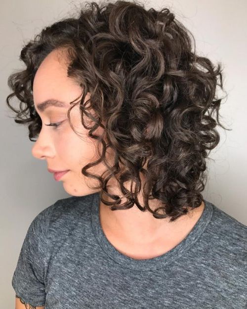 42 Curly Bob Hairstyles That Rock In 2019 For Soft Highlighted Curls Hairstyles With Side Part (View 8 of 25)