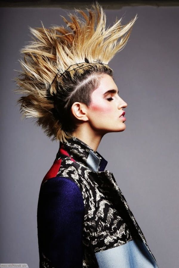 56 Punk Hairstyles To Help You Stand Out From The Crowd Within Rocker Girl Mohawk Hairstyles (Photo 19 of 25)