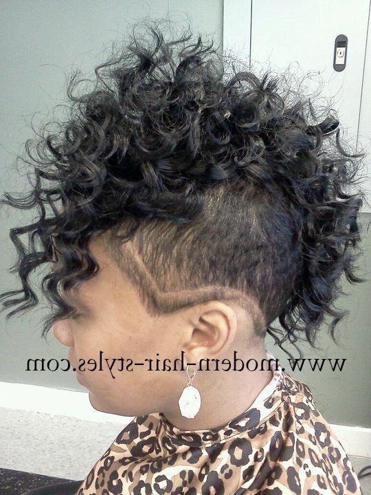 Curly Mohawk, With Shaved Sides (View 18 of 25)