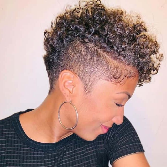 Mohawk Curly Hair | Lajoshrich With Regard To Curly Mohawk Haircuts (View 17 of 25)