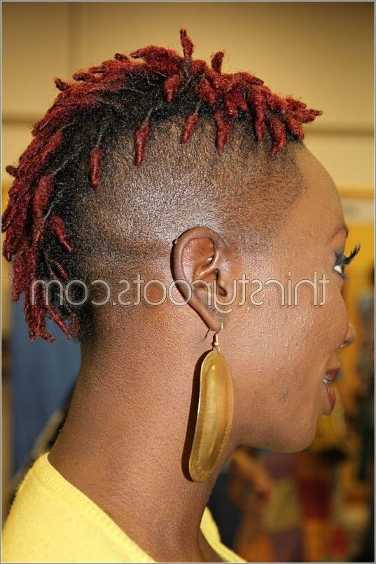 Mohawk With Dreadlocks With Dreadlocked Mohawk Hairstyles For Women (View 10 of 25)