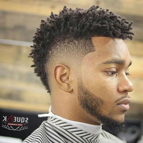 Pin On Dread Fade Haircut With Regard To Mohawk  Haircuts With Curls For A Feathered Bird (View 4 of 25)