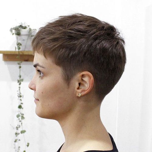 Very Short Haircuts For Women With Chic Look – Short In Super Short Pixie Haircuts (View 14 of 25)