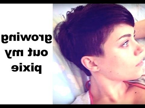 116) How I Grew Out My Pixie Cut | Loli V – Youtube | Hair Within V Cut Outgrown Pixie Haircuts (View 6 of 25)
