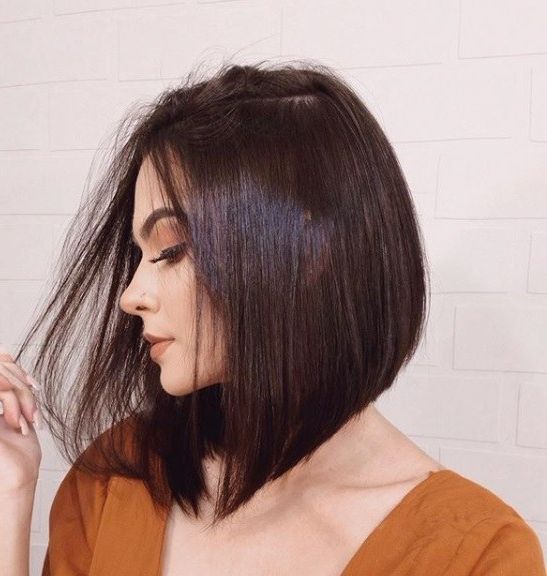 19 Short Brown Hairstyles & Haircuts For Brunettes Inside Sleek Blunt Brunette Bob Hairstyles (View 10 of 25)