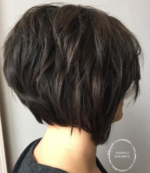 Short Shag Hairstyles Inside Steeply Angled Razored Asymmetrical Bob Hairstyles (View 24 of 25)