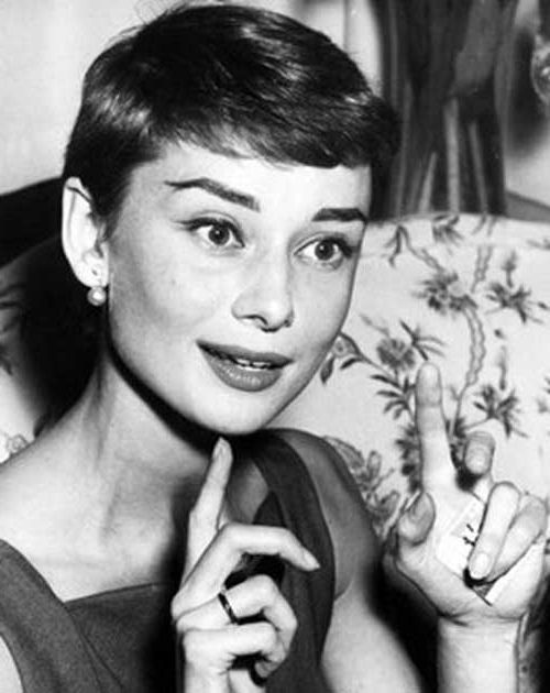 10+ Audrey Hepburn Pixie Cuts For Most Popular Audrey Hepburn Inspired Pixie Haircuts (View 5 of 25)