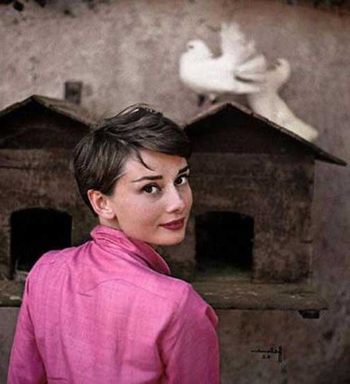 15 Good Audrey Hepburn Pixie Cut | Pixie Cut – Haircut For 2019 For Latest Audrey Hepburn Inspired Pixie Haircuts (Photo 7 of 25)