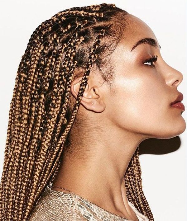 30 Best Braided Hairstyles For Women In 2020 – The Trend Spotter Throughout Best And Newest Ultra Thin Micro Braids Hairstyles (Photo 16 of 25)