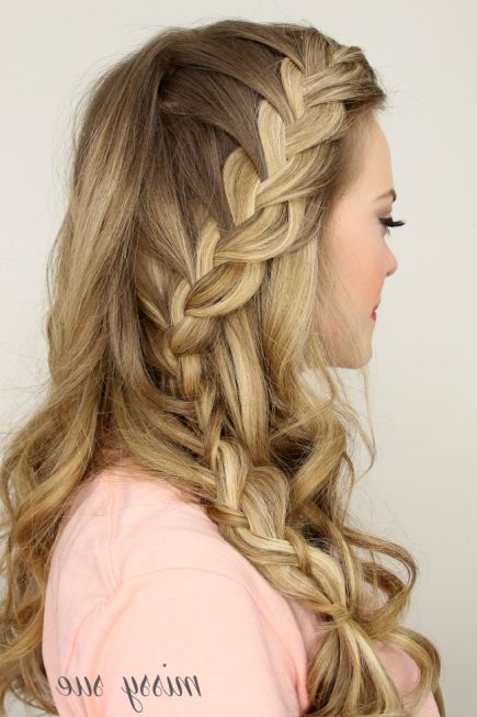 50 Fabulous French Braid Hairstyles To Diy | For Amy | Long Regarding Current Three Strand Long Side Braid Hairstyles (View 7 of 25)