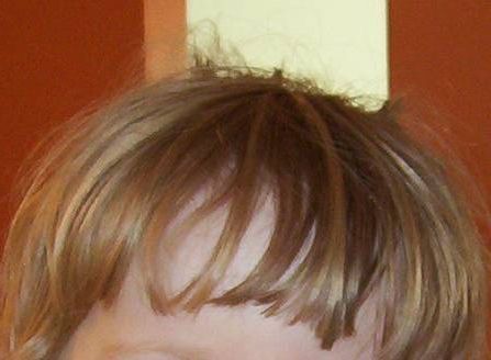 Bangs (Hair) – Wikipedia With Recent One Side Bangs Hairstyles With Feather Effect (View 25 of 25)