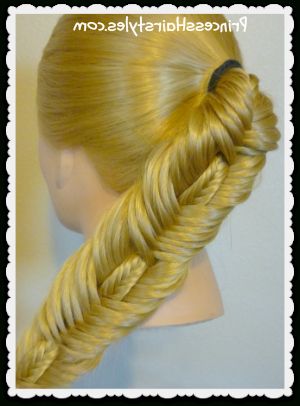 Double Fishtail Stitched Braid Hairstyle | Hairstyles For In Newest Boho Fishtail Braid Hairstyles (Photo 20 of 25)