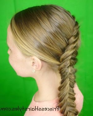 Inside Out Fishtail Braid Tutorial | Hairstyles For Girls With Regard To Most Recent Reverse Braided Buns Hairstyles (View 20 of 25)