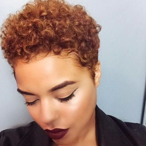 55 Ravishing Short Hairstyles For Ladies With Thick Hair Pertaining To Newest Curly Pixie Hairstyles With Segmented Undercut (View 1 of 25)