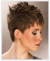 Afbeeldingsresultaat Voor Spikey Pixie | Short Spiky For Most Recently Spiky Short Hairstyles With Undercut (View 13 of 25)