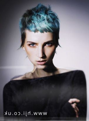Hairdressing Collections And Photos Of Hairstyles From Throughout Most Recent Pastel Pixie Hairstyles With Undercut (View 19 of 25)