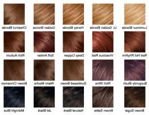 Reddish Brown Hair Color Chart | Brown Hair Color Chart In Brown Blonde Sweeps Of Color Hairstyles (View 19 of 25)