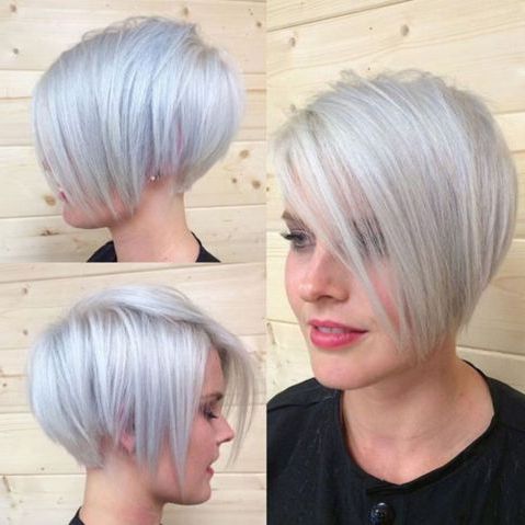 Silver Pixie Bob In 2020 | Short Hair Styles Easy For Recent Pixie Hairstyles With Sleek Undercut (View 5 of 25)