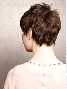 Long Pixie Cut Back View Within Sculptured Long Top Short Sides Pixie Hairstyles (Photo 21 of 25)