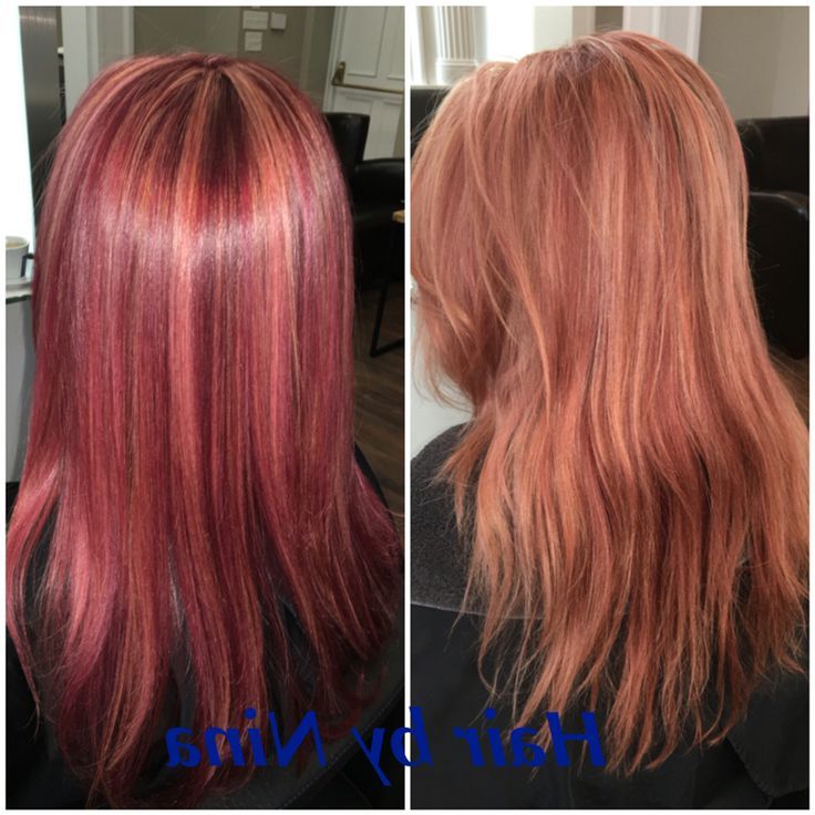 From Faded Rose Gold To Vibrant Raspberry Parfait | Red Hair, Cool  Hairstyles, Hair Styles With Regard To Best And Newest Raspberry Gold Sombre Haircuts (View 5 of 25)