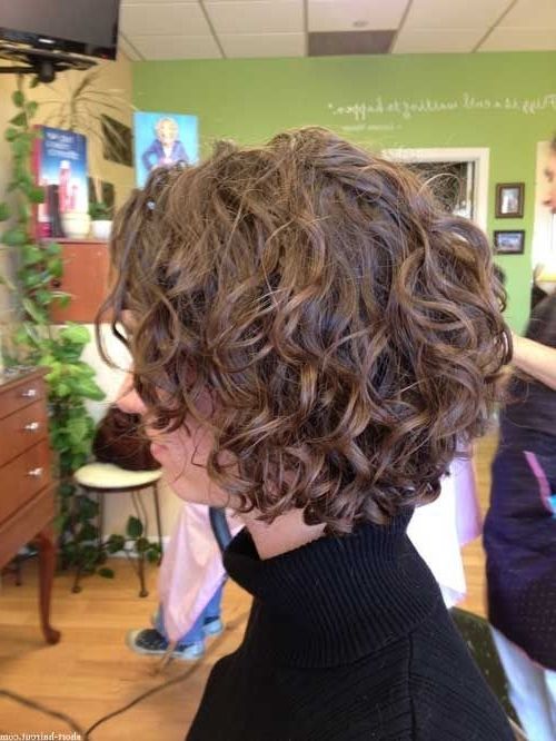 Loose Curly Bob Hairstyle For Short Hair (side View) – Hairstyles Weekly Regarding Short Hairstyles With Loose Curls (View 15 of 25)