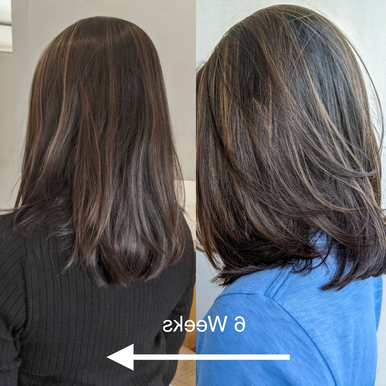 This Is Exactly, Why Getting Hair Cut Every 6 Weeks Is Best For Medium  Hairstyles Regarding Medium One Length Haircut (Photo 19 of 25)
