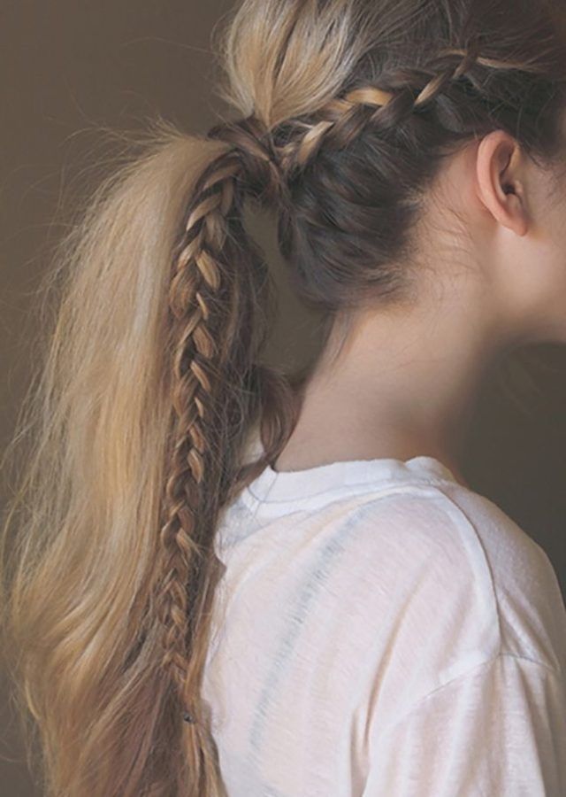  Best 25+ of Braided Millennial-pink Pony Hairstyles