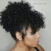 Natural Curly Pony Hairstyles With Bangs (Photo 14 of 25)