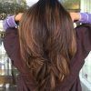 V-Cut Layers Hairstyles For Straight Thick Hair (Photo 3 of 25)