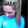 French Braid Hairstyles With Ponytail (Photo 18 of 25)