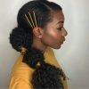 Pony Hairstyles For Natural Hair (Photo 12 of 25)