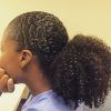 Pony Hairstyles For Natural Hair (Photo 17 of 25)